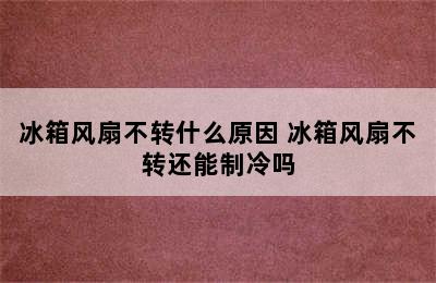 冰箱风扇不转什么原因 冰箱风扇不转还能制冷吗